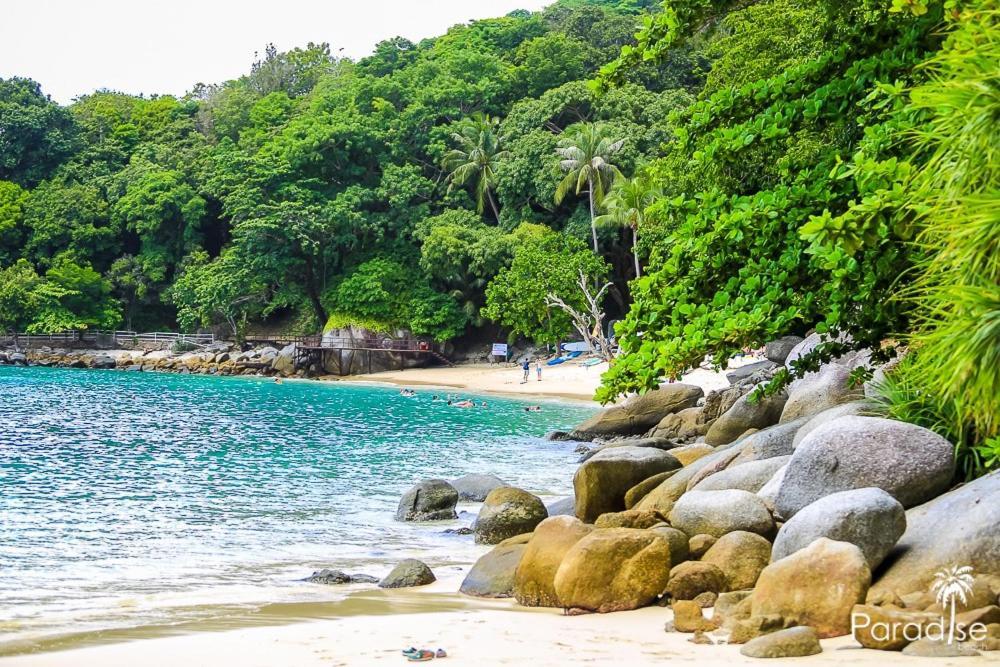 Paradise Beach Backpackers Hostel Patong Ngoại thất bức ảnh